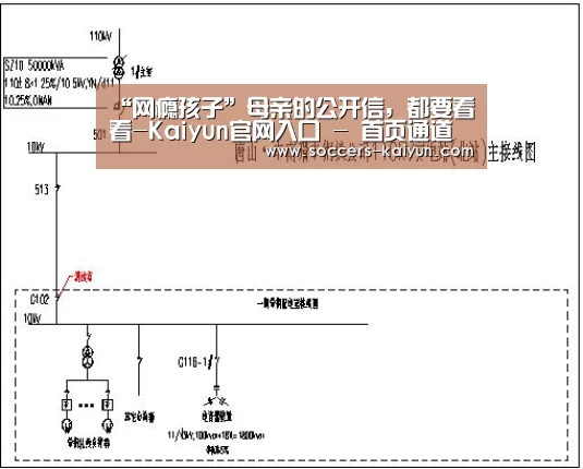 “网瘾孩子”母亲的公开信,都要看看-Kaiyun官网入口 - 首页通道(图2) Kaiyun官网入口 - 首页通道