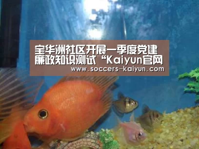 宝华洲社区开展一季度党建廉政知识测试“Kaiyun官网入口 - 首页通道”(图1) 开云