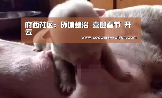 Kaiyun官网入口 - 首页通道