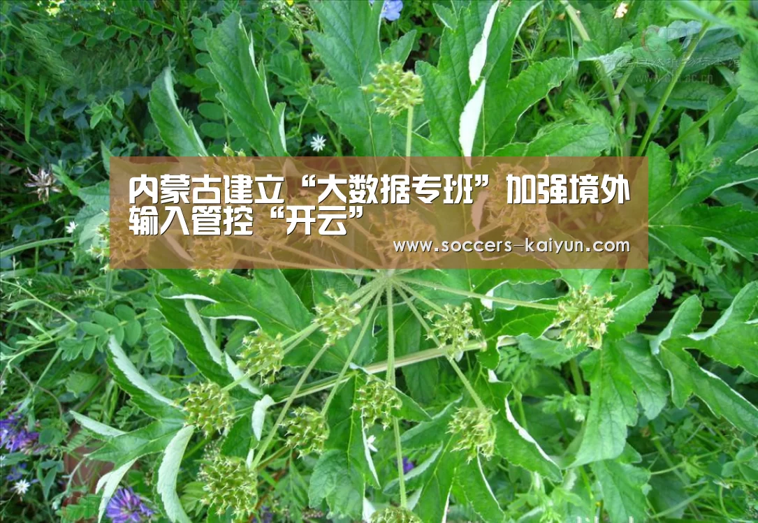 内蒙古建立“大数据专班”加强境外输入管控“开云”(图1) 开云