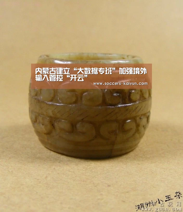 内蒙古建立“大数据专班”加强境外输入管控“开云”(图3) Kaiyun官网入口 - 首页通道