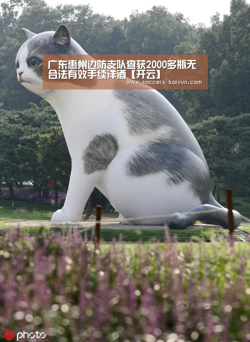 广东惠州边防支队查获2000多瓶无合法有效手续洋酒【开云】(图2) 开云