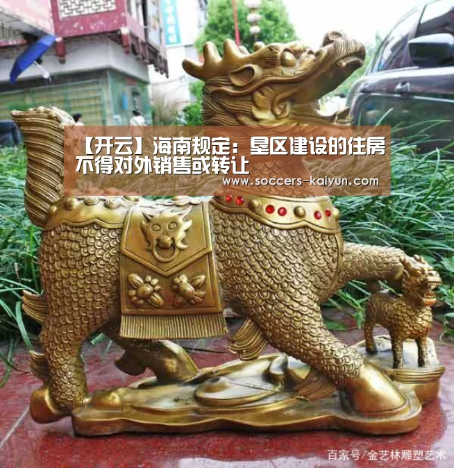 【开云】海南规定:垦区建设的住房不得对外销售或转让(图2) Kaiyun官网入口 - 首页通道