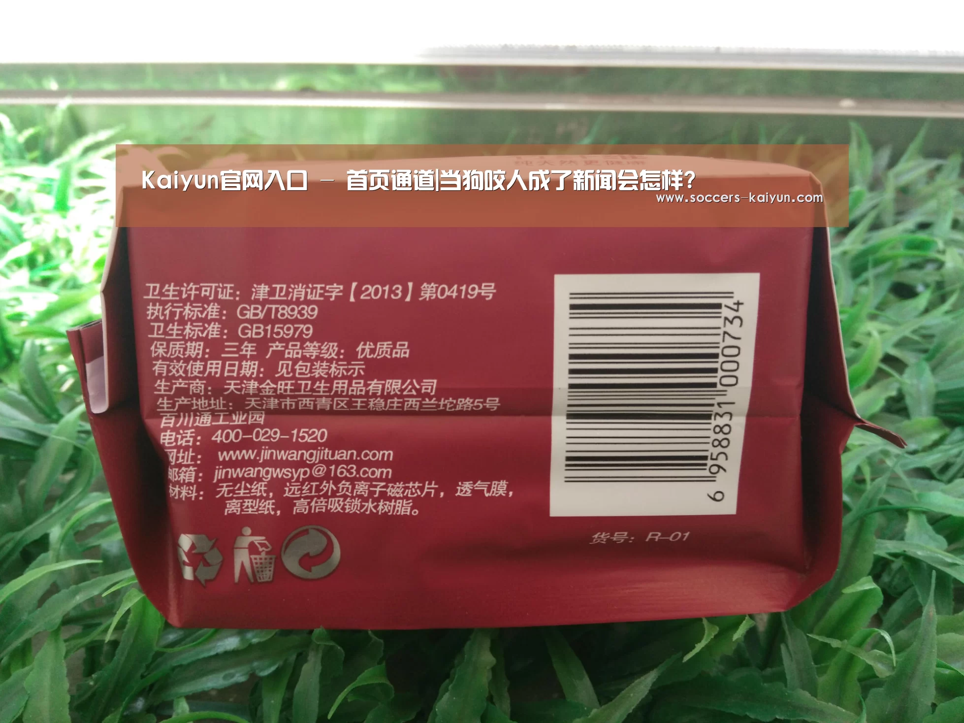 Kaiyun官网入口 - 首页通道|当狗咬人成了新闻会怎样?(图1) 开云