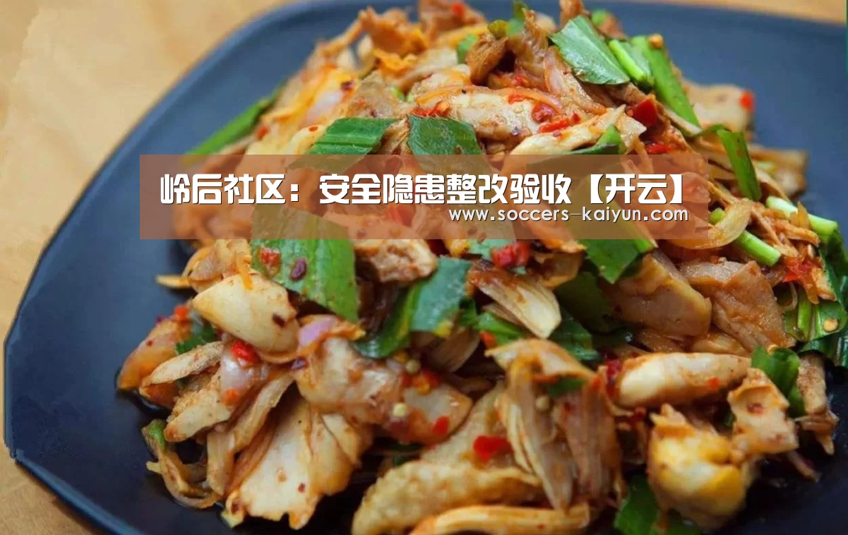 岭后社区:安全隐患整改验收【开云】(图1) 开云