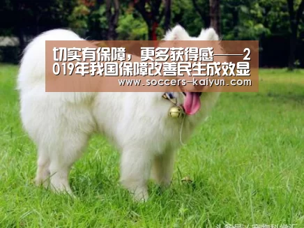 切实有保障,更多获得感——2019年我国保障改善民生成效显著_开云(图1) 开云