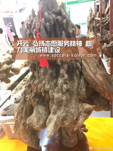 Kaiyun官网入口 - 首页通道