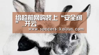 给超前网购装上“安全阀”_开云(图1) 开云